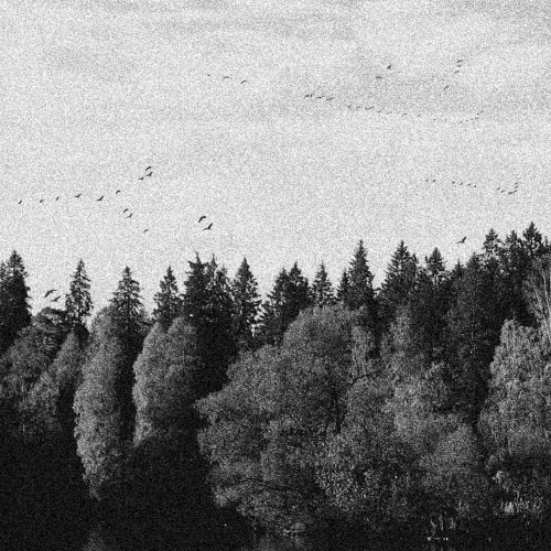 October Falls - A Collapse of Faith